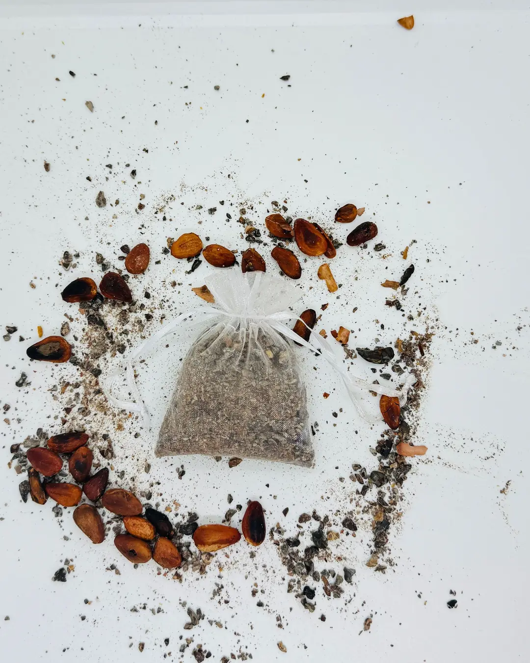 Costal de organza con cacao molido, rodeado de granos de cacao.